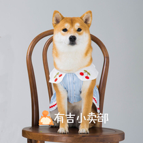 Pet cat and dog jumpsuit skirt firewood dog clothes spring and summer thin dart fight Garfield English short princess dress Koji