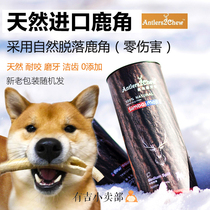 Gissing natural antler dog molars stick Shiba dog Koji pet tooth cleaning bone head imported bite resistant snack toy