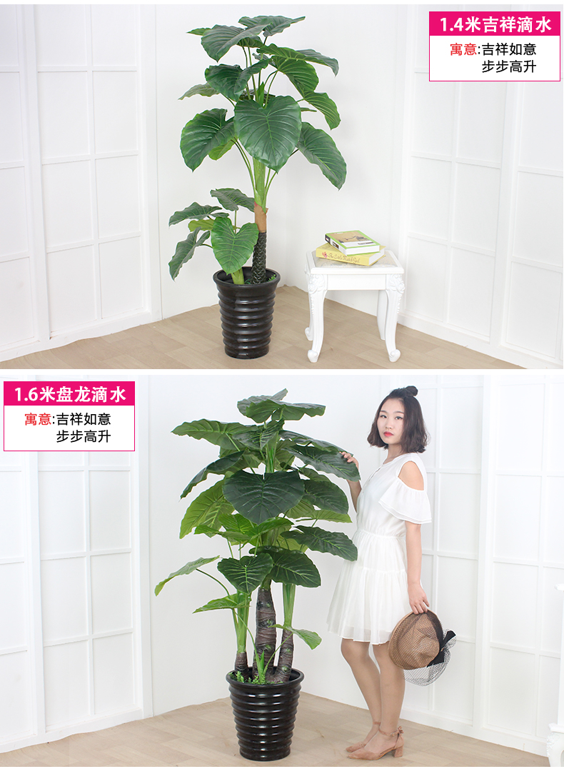 Cây giả mô phỏng cây cảnh trang trí nội thất nhỏ giọt Guanyin trong chậu hoa giả phòng khách lớn sàn cây xanh trang trí - Hoa nhân tạo / Cây / Trái cây cây đào giả