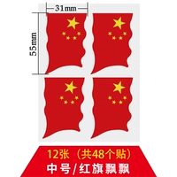 Hongqi Piooliao Mid -Number 48 Post