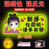 Логотип стажировки магнитный вождение Unified Syndom