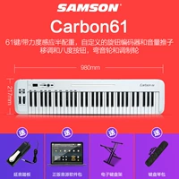 Carbon 61 клавиатура+педаль Yanyin+полка клавиатуры+сумка для клавиатуры+программное обеспечение для источника звука