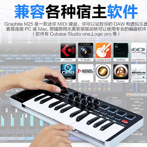 Samson Graphite M25 Mini 25 -Keke Midi Keyboard Professional Controller совместим с iPad