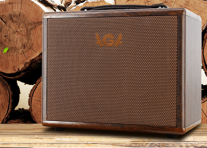 Đức AGA SC20 40 60W loa acoustic dân gian loa điện hộp âm thanh guitar cổ điển - Loa loa loa chép