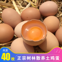 Soil eggs Farm free-range wild free-range rural self-raised natural grass eggs stupid chai eggs fresh pure 40 pieces