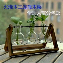 Swing frame wooden frame hydroponic glass vase living room decoration desktop office green basket creative new