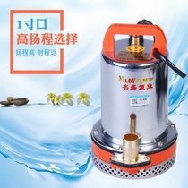 Battery DC submersible pump high lift pumping tricycle 60 miniature electric vehicle dedicated water well portable 12v48v