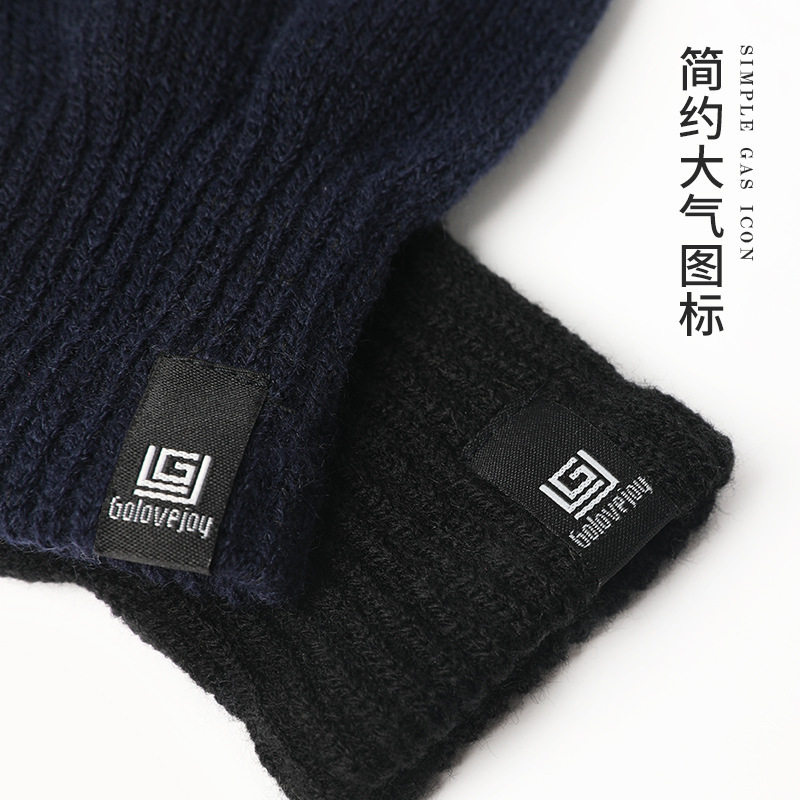 Gants pour femme      en Laine - Ref 3155319 Image 1