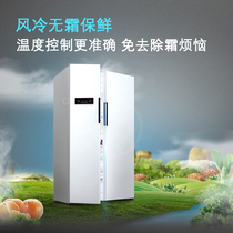 Siemens 610 liters variable frequency air-cooled frost-free refrigerator double door to door silver (KA92NV02TI)