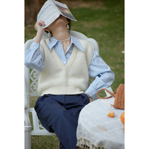 Beautiful emperor mohair v-neck vest knitted short small vest loose outside wear 2021 spring new