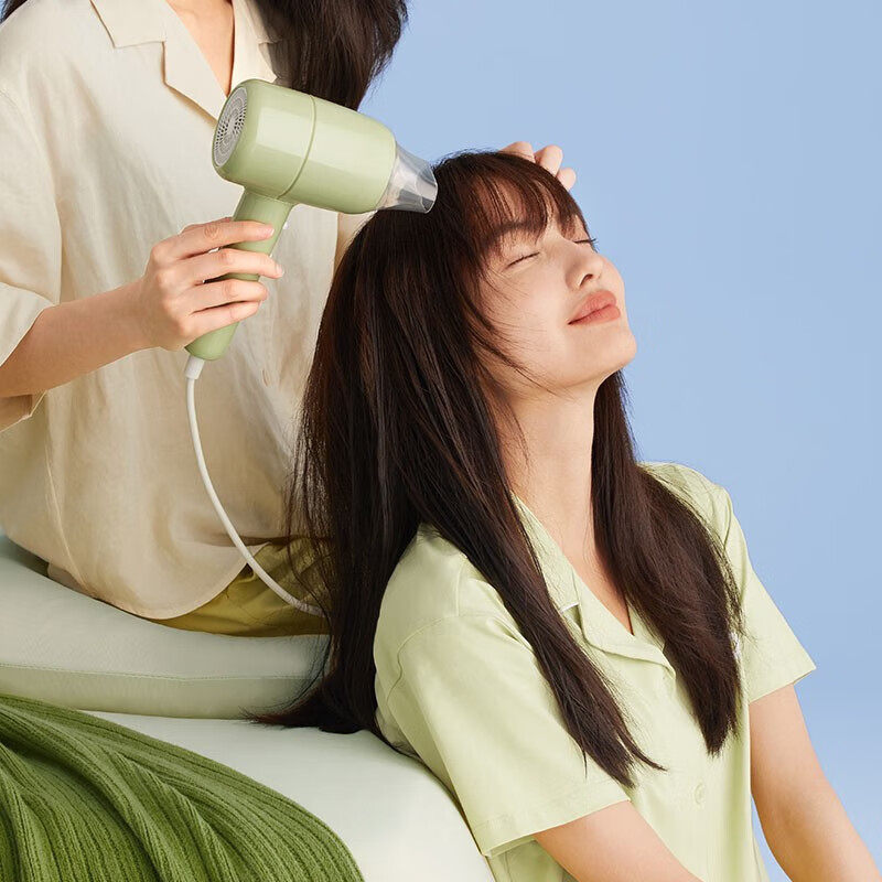 小熊(Bear)家用大功率负离子护发恒温速干 DCF-B18L7单位:台