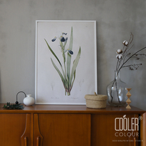 CoolerColour retro botanical figurine iris flower iris flower Nordic decoration painting posters nostalgia