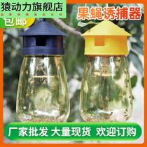 Orchard fruit fly trap fruit fly spray fruit fly water attractant needle bee needle bee attractant melon fruit potion