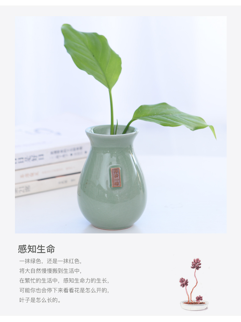 Water raise other elder brother up vase hydroponic copper grass flower POTS ceramic dried flowers all over the sky star flower tea desktop furnishing articles