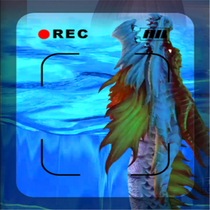 The City of Moonlight is a live Star Live gift on the ancient giant Kungkun Stars Rain and Bird Ocean Goddess of the Dragon Romantic Flower Sea for sale