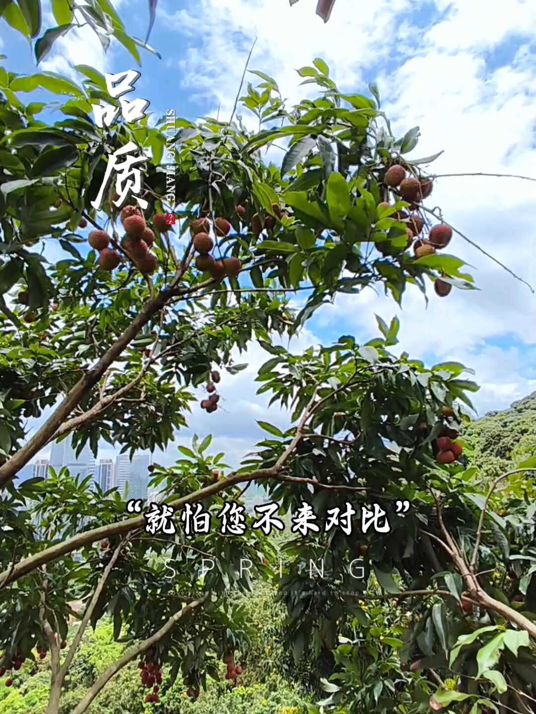 深圳南山荔枝夫妻果园的LOGO