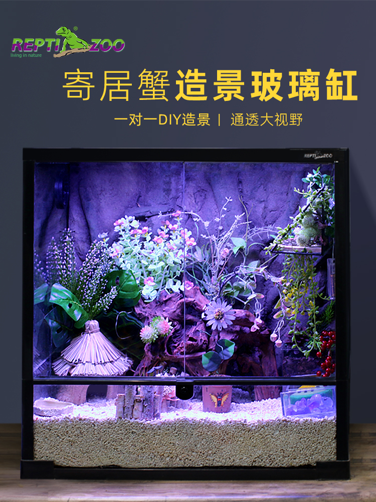 Hermit crab glass cylinder climbing pet cylinder landscaping full view enclosed large and small mini reptizoo breeding box