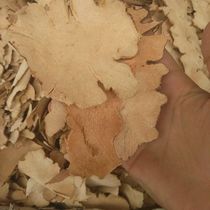 Chuan Tai Tu Tai Chinese medicinal materials Jiu Niuli Tu Pai Shao Tu Tai natural dried product 500g