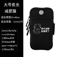 Милая кошка большая светящаяся