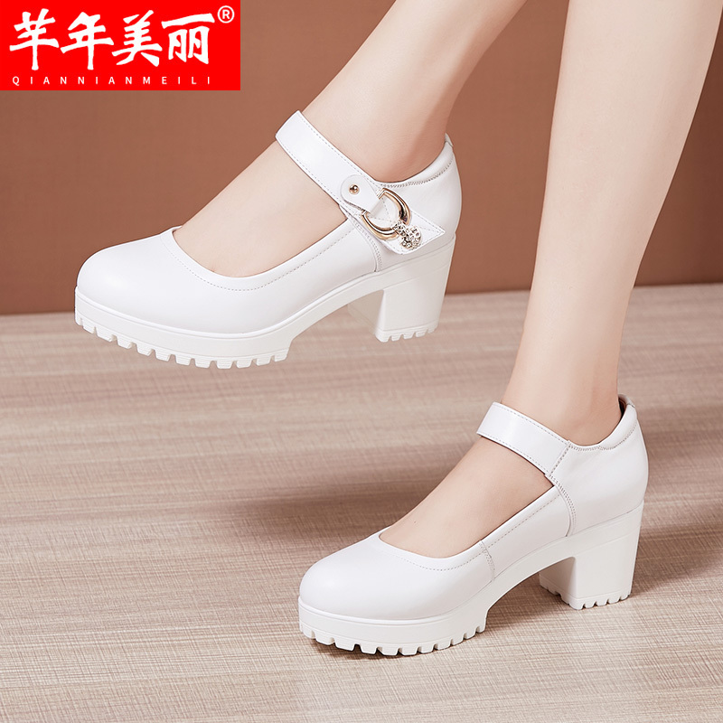 Non-Slip Sole Middle-Aged and Elderly Women's Cheongsam High-Heeled Shoes, Medium Heel, Thick Heel, Large Size, Model Runway Performance Special Shoes