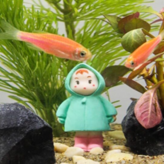 小莴美植园