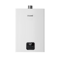 New product Whale Ton] Rinnai gas water heater household constant temperature sealed stable combustion JSQ40-GT11