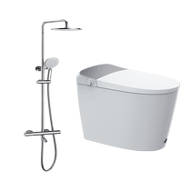 Haier Home Bathroom Main Promotion Package Smart Toilet H3K Shower ST-S1H312G (Constant Temperature)