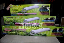 (Physical store) Taiwanese aquatic master Stegosaurus T5HO four lights 60cm lamp stand 24wX4