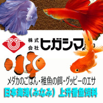 Japans Emperor Haitao rising fragrant fish Li Zhenyang vegetable flakes feed Peacock Betta goldfish