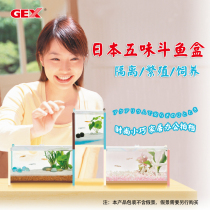 Japanese five-flavor GEX mini ornamental fish tank Betta box Moss micro landscape water and land landscape landscape tank bucket fish tank