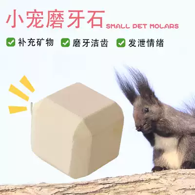 Squirrel honey bag glider flying squirrel Chinchilla Dutch pig hamster supplies Calcium molar stone Calcium stone stick string Embarrassed pet