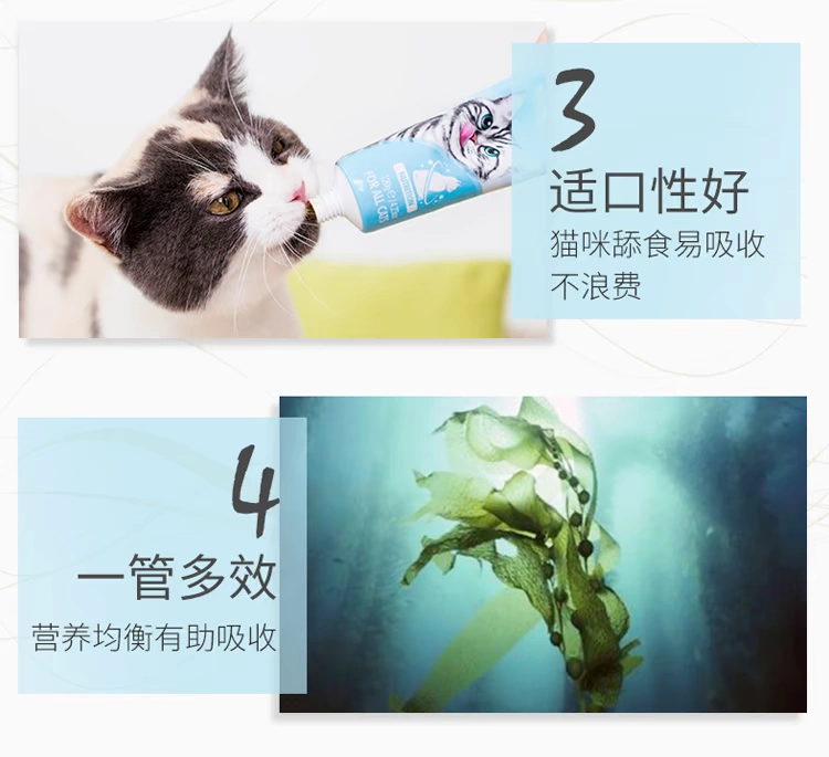 Cat Forest Cat Seaweed Vitamin Cat Beauty Hair Dinh dưỡng Kem Mèo Full Mang thai Bổ sung nhanh 120g Úc Phiên bản - Cat / Dog Health bổ sung 	sữa cho chó tốt