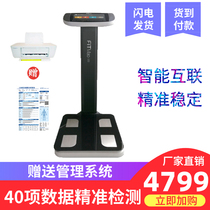 Body measuring instrument flying cat FITMAO gym dedicated personal fat detection body fat scale yoga studio private teaching