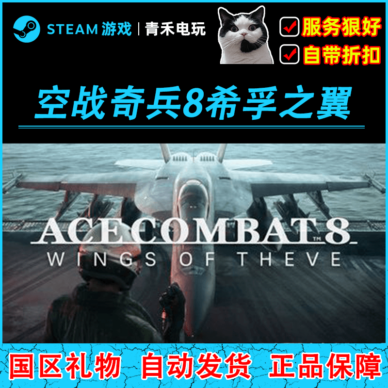 Steam Official Version Ace Combat 8: Skies of Fury China Region Gift Activation Code Cdk Flight Shooting Action