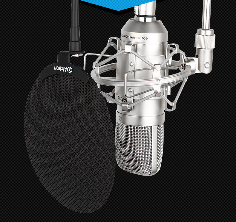 Alctron Acchurn MC001 professional capacitor recording microphone K song YY game video anchor microphone