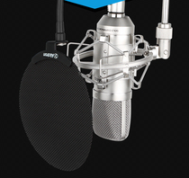 Alctron Aiketron MC001 Professional Capacitive Recording Microphone Ksong YY Game Video Anchor Microphone