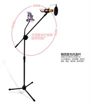 Mobile Phone Microphone Microphone Tripod Bracket National K Song Singing Bar MV Floor Type Earthquake-proof Street Performance