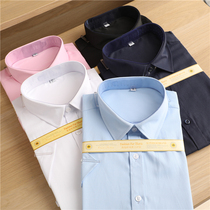 2020 spring and summer thin business casual new mens light and thin breathable solid color short sleeve shirt shirt