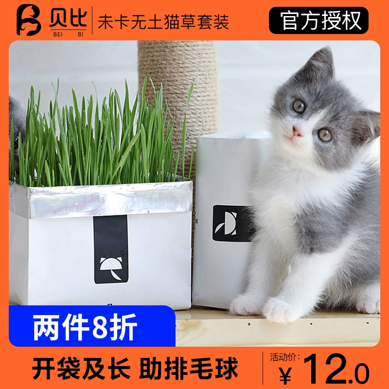 Wika vetreska không đất cho mèo cỏ hạt giống thủy canh catnip đồ ăn nhẹ cho mèo làm rụng lông và bộ hỗ trợ tiêu hóa - Đồ ăn nhẹ cho mèo