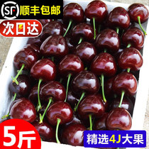 Dalian Beauty Morning Great cherry 5 catty carts fresh fruit entier box Shunfeng quand cest une grande boîte cadeau 3 femmes enceintes