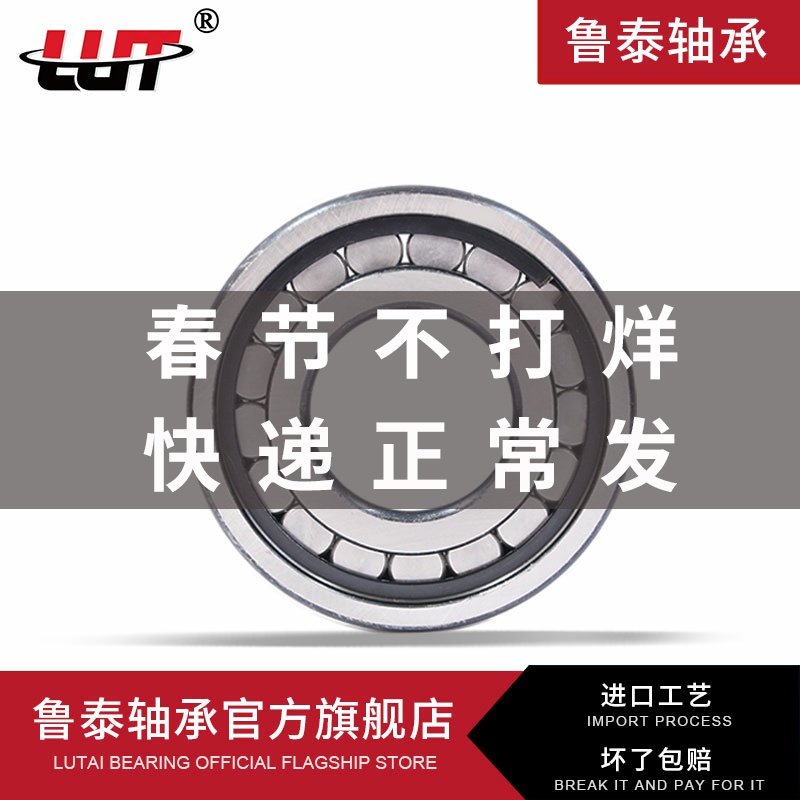 NCF310V NCF311V of Cylindrical Roller Bearing NCF308V NCF309V