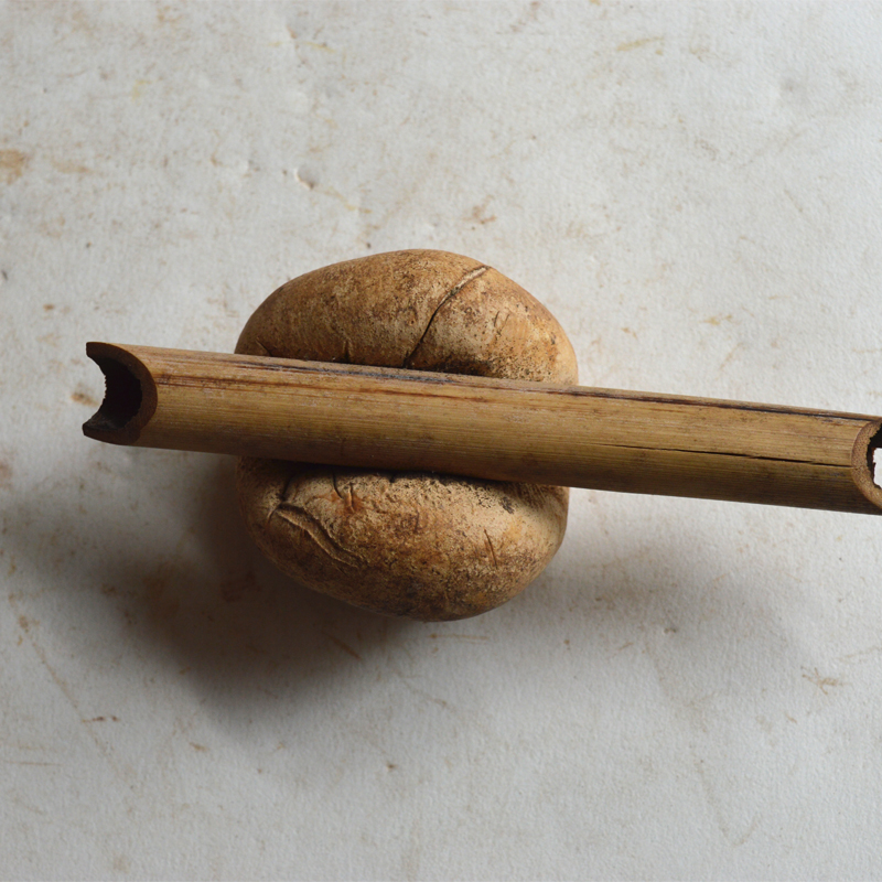 Cangshan Lingzhitang wild bamboo raw meat cocci wild bamboo cocci wild bamboo fungus wild bamboo fungus 500g nationwide