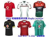 2024 Irish Welsh Rabbitohs Rugby Clothing Short Sleeve Training Wear Sports Rugby jerseys