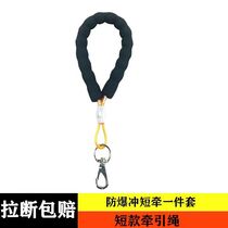 Dog leash medium and large dog p chain bulldog leash adjustable steel wire suffocation rope explosion-proof training dog p rope