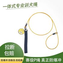 Pet leash dog collar automatic buckle wire rope small dog p chain medium dog p rope large dog chain