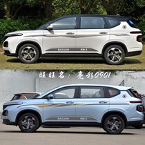 Baojun RM-5 body pull flower personalized decorative stickers car Sports modified stickers car stickers painting waist line color strip decals