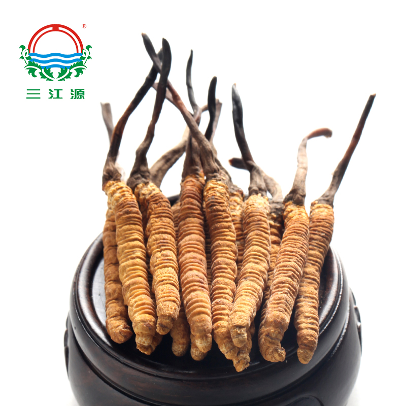 Sanjiangyuan Cordyceps Cordyceps Qinghai Yushu Cordyceps Cordyceps