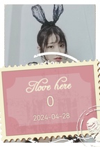 R18 Pear Blossom Brings Rain Card Set 27 Miss Sister Photo Bunny Girl Colorful Flowers (25 photos) XZ27