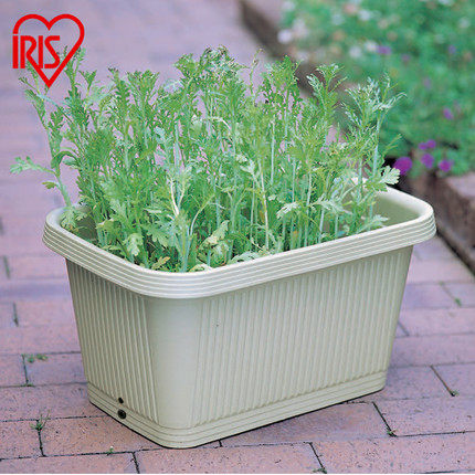 IRISIRIS balcony bonsai vegetable planting basin indoor long large flowerpot vegetable plastic flowerpot deep type