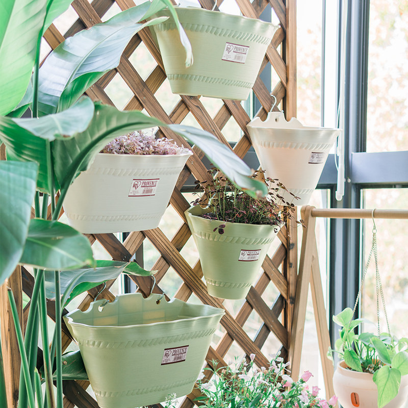 IRIS wall hanging flowerpot Alice plastic hanging meat self-absorbent hanging orchid pot hanging wall golden kudzu hanging flowerpot